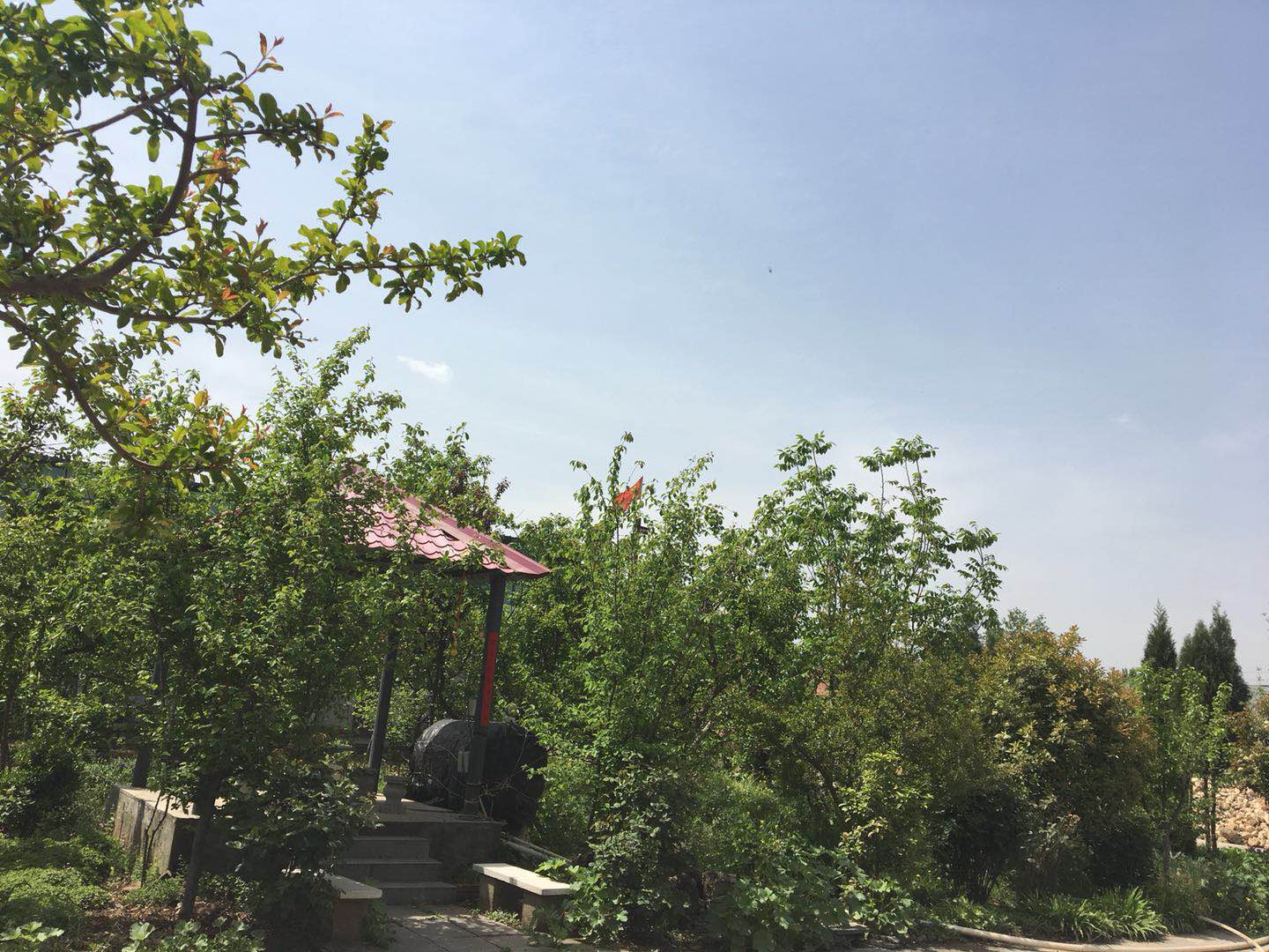 環(huán)境展示